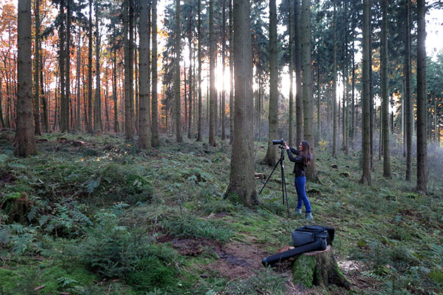 making of Wald Bad Salzuflen_4036